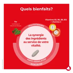 Ferro Vital - Vitamines et minéraux - Laboratoires ORTIS