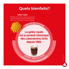 Gelée Royale sans alcool - Produit de la ruche - Laboratoires ORTIS