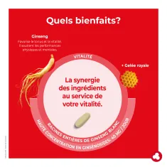 Ginseng comp. - Fortifiant - Vitalité - Laboratoires ORTIS