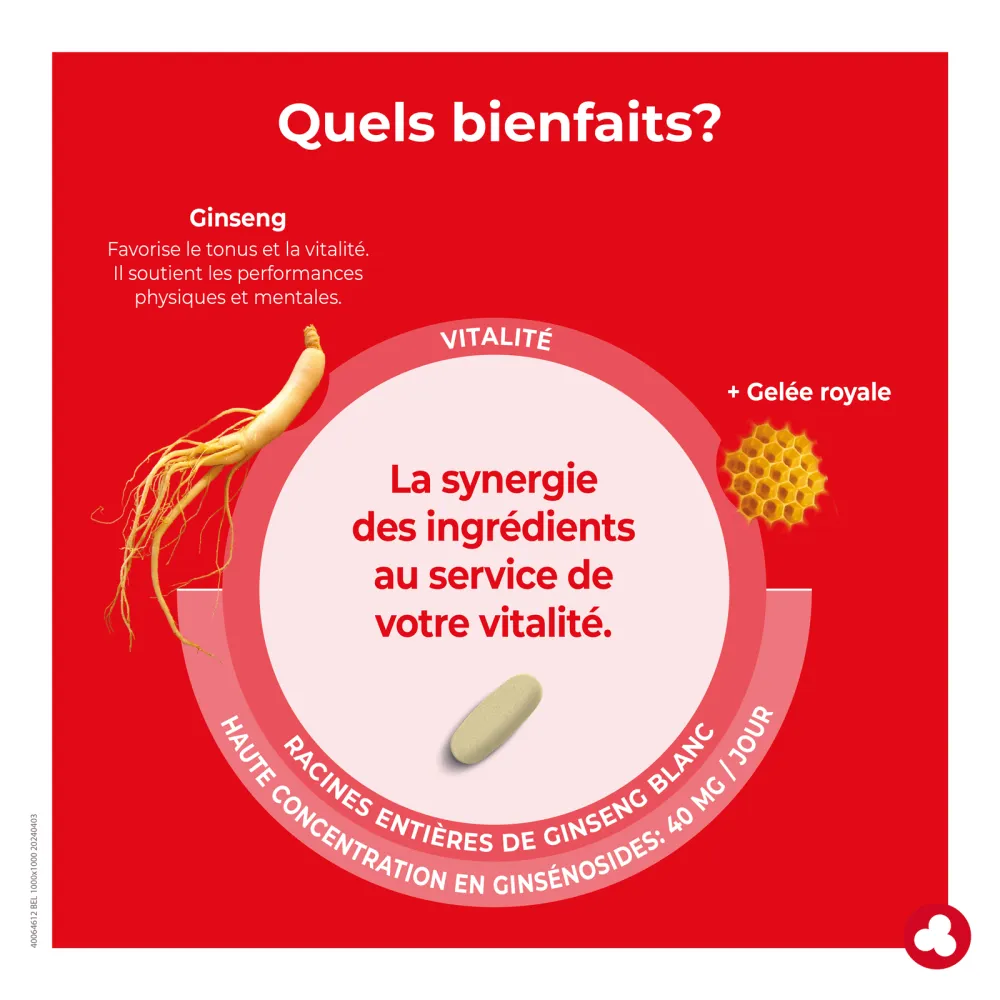 Ginseng comp. - Fortifiant - Vitalité - Laboratoires ORTIS