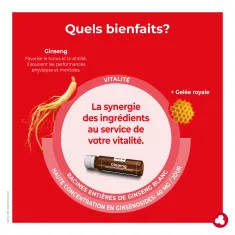 Ginseng fiole - Fortifiant - Vitalité - Laboratoires ORTIS