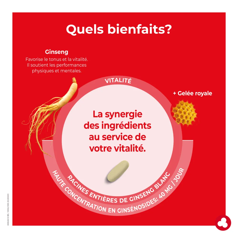 Ginseng avec alcool - Fatigue - Energie - Laboratoires ORTIS