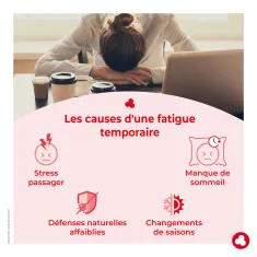 Ginseng avec alcool - Fatigue - Energie - Laboratoires ORTIS