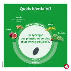 Fruits&Fibres Regular Pack Economique - Plantes et Ingrédients - Laboratoires ORTIS