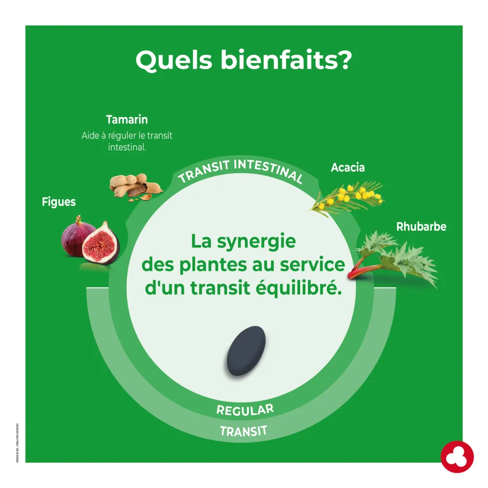 Fruits&Fibres Regular Ecopack - Transit intestinal trop lent - Laboratoires ORTIS