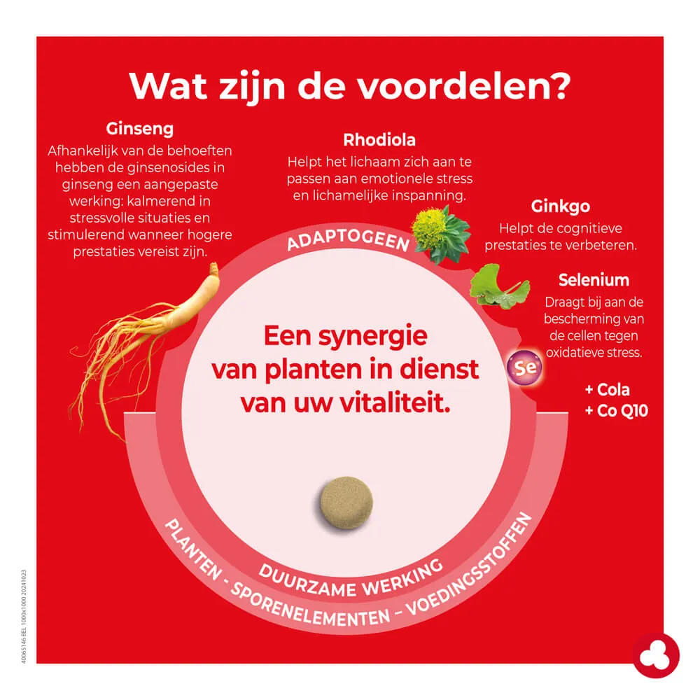 Energy&Uithouding - Vermoeidheid - Energie - Laboratoires ORTIS