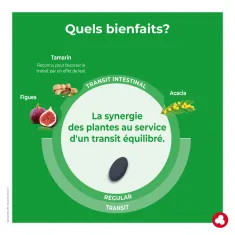 Fruits&Fibres Regular Ecopack - Transit intestinal trop lent - Laboratoires ORTIS