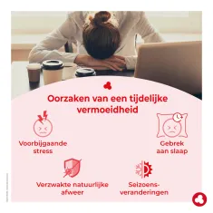 Koninginnenbrij met alcohol - Bijenkorfproducten - Laboratoires ORTIS