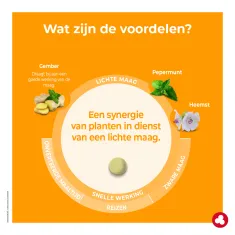 Minesium - Zware maag - Laboratoires ORTIS