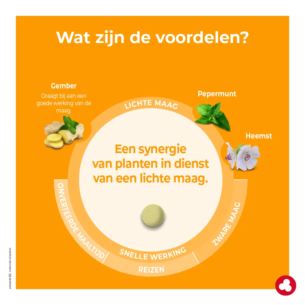 Minesium - Zware maag - Laboratoires ORTIS