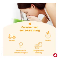 Minesium - Zware maag - Laboratoires ORTIS