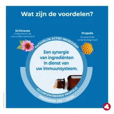 Echinacea&Propolis - Immuniteit - Laboratoires ORTIS