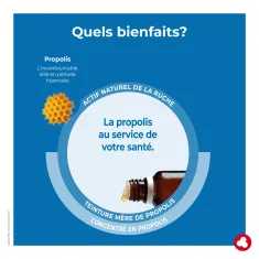 Propex Propolis - Produit de la ruche - Laboratoires ORTIS