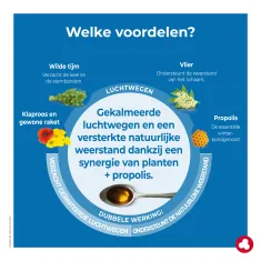 Propex Verzachtende Siroop - Winterkwaaltjes - Verkoudheid - Laboratoires ORTIS