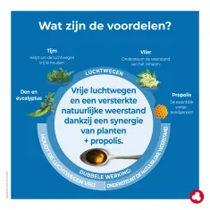 Propex Fluidity Siroop - Winterkwaaltjes - Verkoudheid - Laboratoires ORTIS
