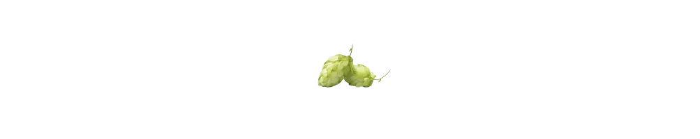 Hop