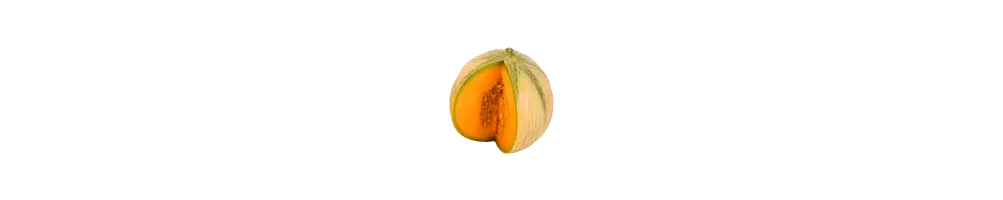 Melon