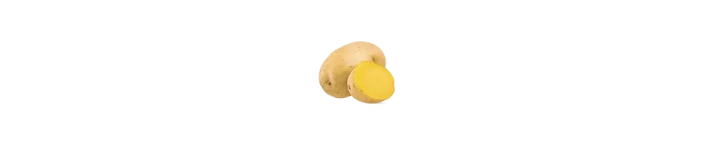 Aardappel