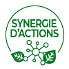 Synergie d'actions