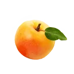 Abricots