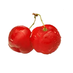Acerola