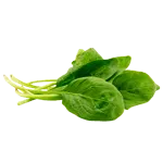 Spinazie
