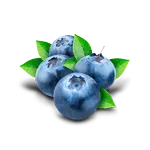 Myrtille